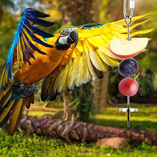 3 ADET Kuş Şiş Kuş Gıda Tutucu Kuş Besleyiciler Paslanmaz Çelik Kuş Papağan Şiş Küçük Hayvan Meyve Sebze Tutucu Toplayıcılık