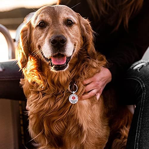 MYLUCKYTAG QR Kod Hizmeti Köpek Etiketi-Evcil Hayvan Çevrimiçi Profili-Qr'yi Tarayın Anında Evcil Hayvan Konumu Uyarısı E-Postası