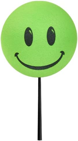 Tenna Tops Mutlu Gülen Yüz Araba Anten Topu/Otomatik Ayna Dangler/Masaüstü Bahar Standı Bobble Buddy (Kireç Yeşil) (Araba Aksesuarı)