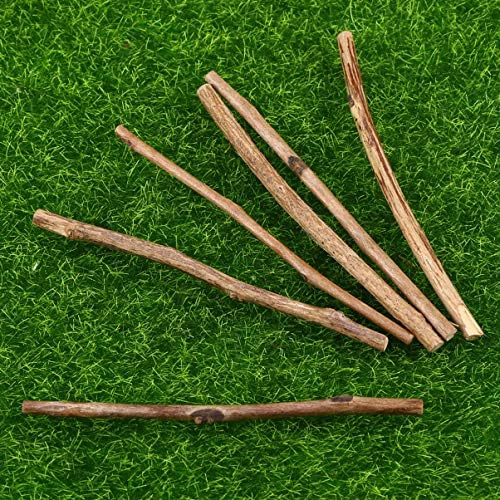 BESPORTBLE Ahşap Log Sticks DIY El Yapımı Boyama Fotoğraf Sahne 10 CM Uzun 0. 3- 0. Çapı 5 CM Çay Ağacı Ahşap Sopa DIY El Sanatları