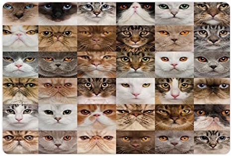 Yiyecek ve Su için Lunarable Cat Lover Pet Mat, Kedi Kafaları Kolajı İngiliz Shorthair Chartreux Türk Angorası, Köpekler ve Kediler