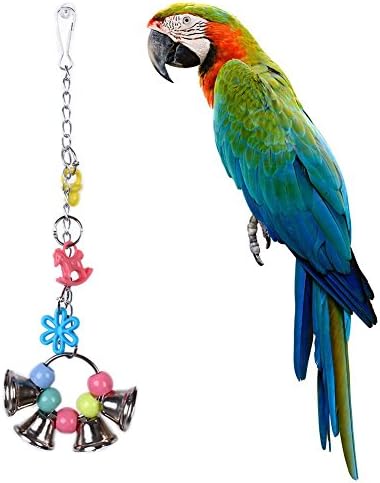 Gilroy Renkli Amerika Papağanı Asılı Çiğnemek Çan Oyuncaklar Papağanının Parakeet Isırıkları Kuşlar Salıncak Oyuncak, Rastgele