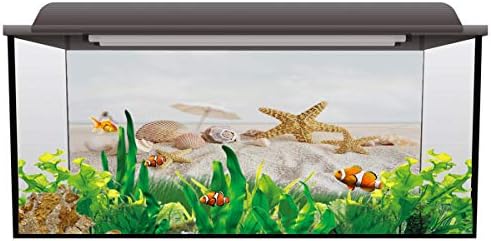 CHAOGO Balık Tankı-Arka Plan Denizyıldızı Kum Plaj Sahne, yapışkan Duvar Kağıdı Akvaryum Poster Zemin dekorasyon kağıdı Sarılmak