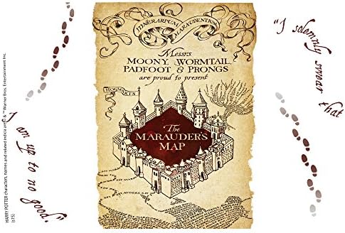 Tervis Harry Potter-Çapulcu Haritası Tumbler Wrap ve Kahverengi Kapaklı 16 oz, Temizle