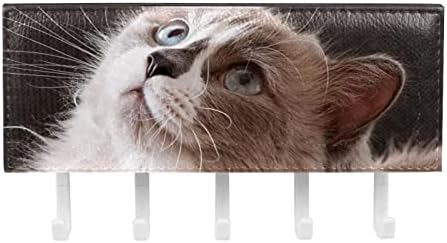 Ragdoll Cins Kedi Yüz Sevimli Kitty Raf Organizatör 5 Kanca ile Duvar banyo mutfak rafı Raf Çok Fonksiyonlu depolama rafı