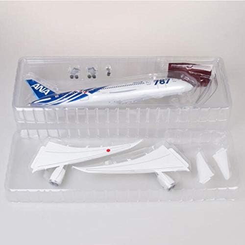 Hobi Uçak 1/130 Oranı 47 cm Uçak Boeing B787 Dreamliner Japonya Havayolları Modeli W Hafif Tekerlekler die-cast Plastik Reçine