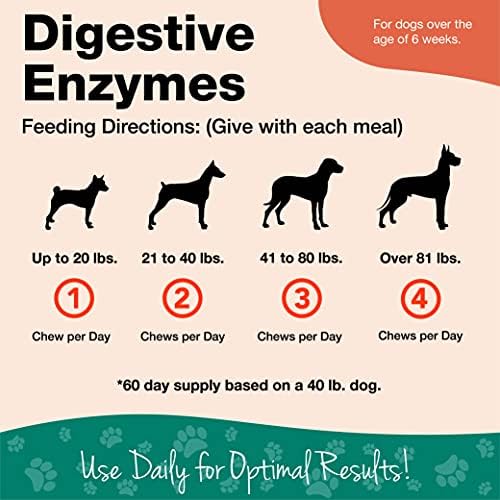 NaturVet-Köpekler için Sindirim Enzimleri - Artı Prebiyotikler ve Probiyotikler / Diyet Değişikliğini ve Sağlıklı Bir Sindirim