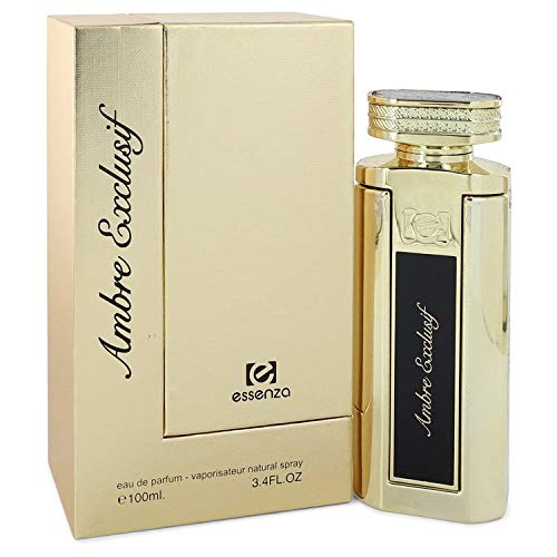 3.4 oz eau de parfum sprey parfüm kadınlar için sizin için güzel bir gün ambre exclusif parfüm eau de parfum sprey: Rahat koku︴