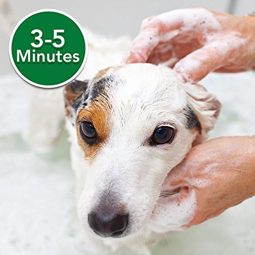 Köpekler için Veterinerin En iyi İlaçlı Yulaf Ezmesi Şampuanı / Köpek Kuru Cildini Yatıştırır / Cildi ve Yünü Temizler, Nemlendirir