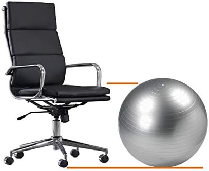 Ofis ve Ev için CalCore Fitness Marka Profesyonel Physio Top Sandalye