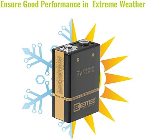 EEMB 9 Volt Şarj Edilebilir Piller 650 mAh Duman Alarm Dedektörü için 9 V Pil Şarj Cihazı ile 2-Packs
