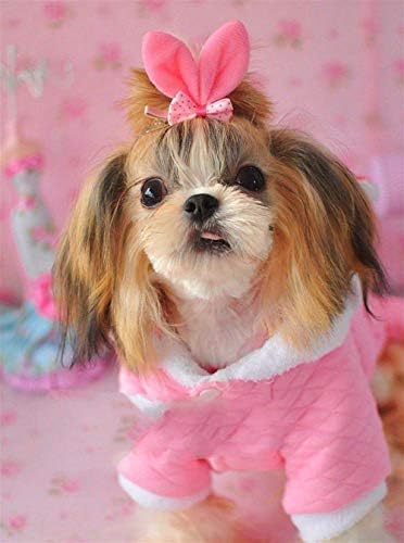 Pet Bakım Aksesuarları Bunny Stil Köpekler Şapkalar Firkete Yorkshire Çiçek Saç Klip Sevimli Satış Sevimli Sahne Küçük (Renk: