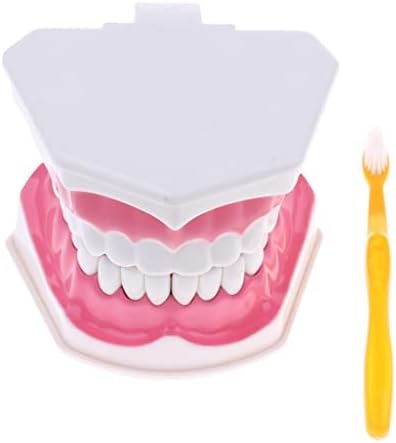 AMLESO 2X Büyük Diş Diş Modeli ile Diş Fırçası Veren Ağız Hijyeni Aracı