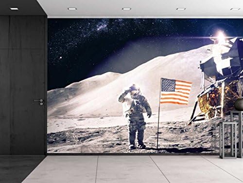 IRONANDGCFOXBOX wall26-Amerikan Bayrağı ile Aydaki Adam - Duvar Resmi, Çıkarılabilir Etiket, Ev Dekorasyonu - 100x100 inç,Ev
