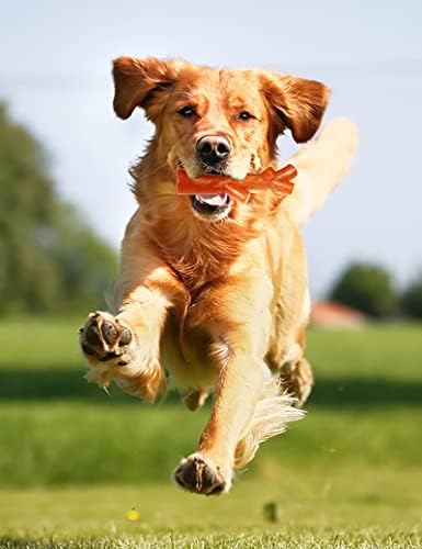 Köpek Çiğneme Oyuncağı, İnteraktif Köpek Oyuncakları, Diş Temizliği ve İnteraktif için Dayanıklı Köpek Oyuncakları , Küçük ve