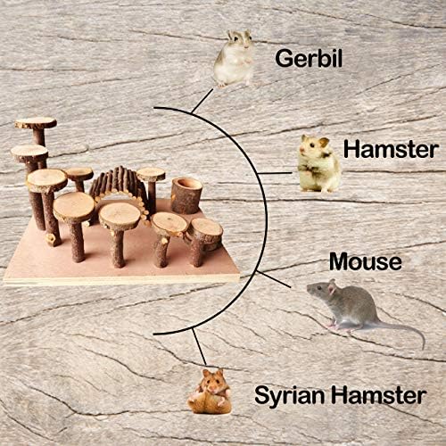 Hamster Oyun Alanı Ahşap, küçük Hayvan Aktivite oyuncak seti-tırmanma merdiveni Bendy Köprü yiyecek kasesi Standı Platformu Çiğnemek