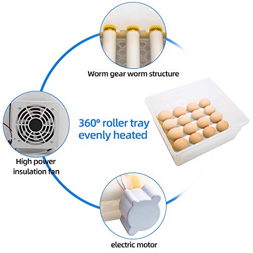 Kuluçkalık Yumurta için Safego yumurta kuluçka makinesi, Otomatik Turner ve Yumurta Candler Test Cihazı ile Dijital Mini Kuluçka