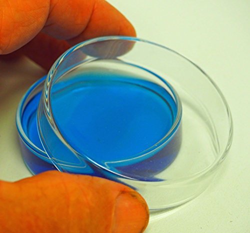 Petri Kabı, Kusursuz Kristal Berraklığında Borosilikat Cam, 60mm X 18mm, 6'lı Paket