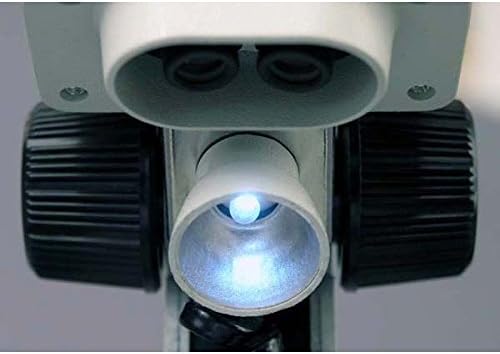 AMSCOPE-KİDS SE100Z Taşınabilir Binoküler Stereo Mikroskop, WF10X ve WF20x Göz Mercekleri, 20X ve 40X Büyütme, 2X Objektif, Tungsten