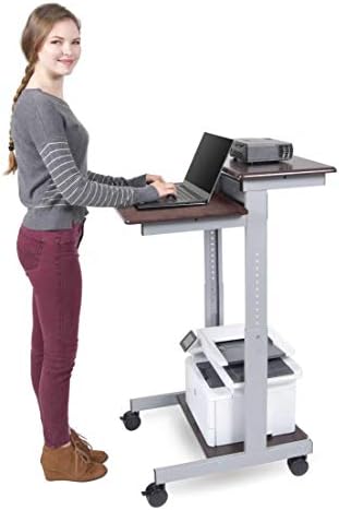 Stand Up Masası Mağaza Haddeleme Yüksekliği Ayarlanabilir İki Katmanlı Ayakta Masa Bilgisayar İş İstasyonu (Gümüş Çerçeve / Koyu